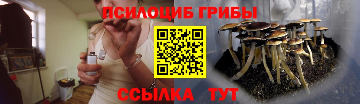 Псилоцибиновые грибы Cubensis  Вход с VPN  Топки 
